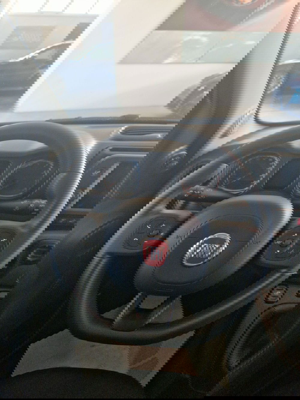 Fiat Panda Cross usata a Terni (12)