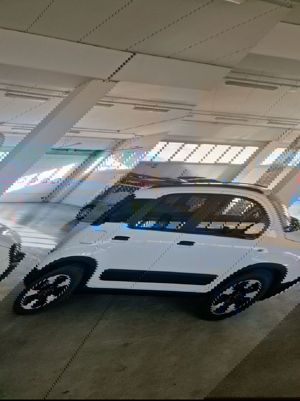 Fiat Panda Cross usata a Terni (6)