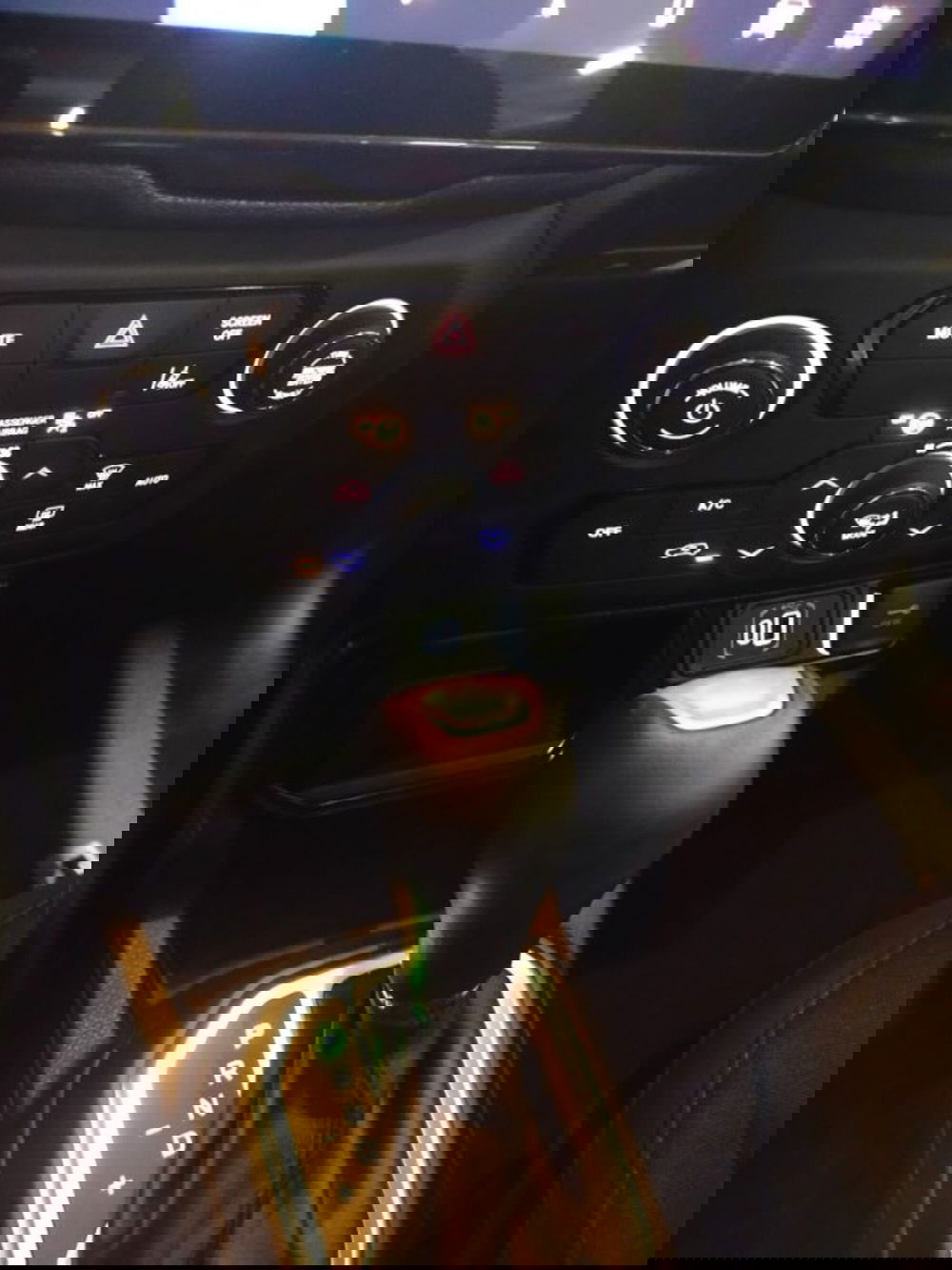 Jeep Renegade usata a Forlì-Cesena (20)