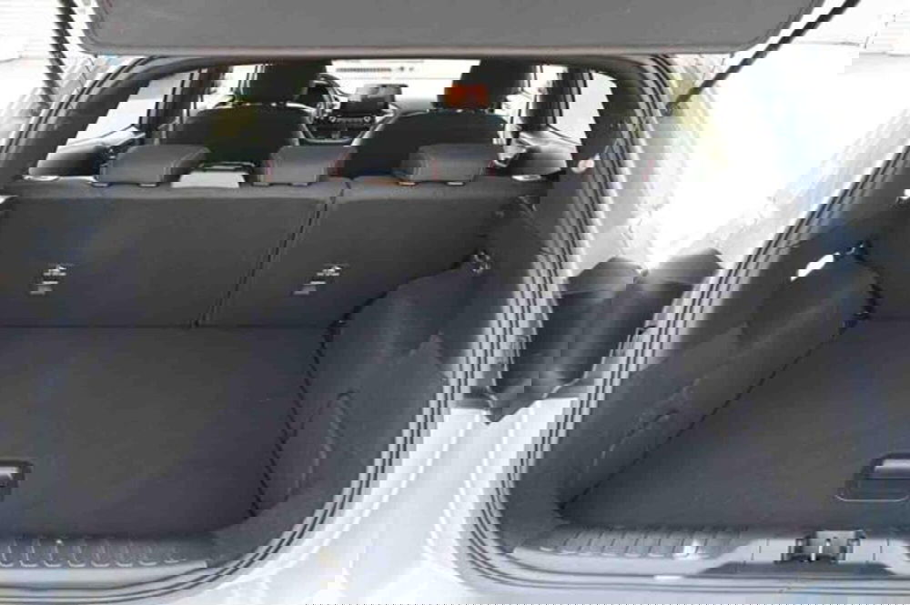 Ford Puma usata a Torino (9)