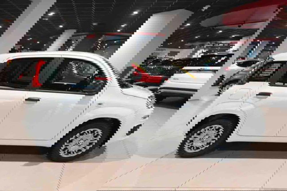 Fiat Panda nuova a Torino (4)