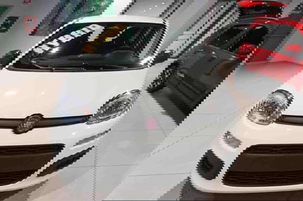 Fiat Panda nuova a Torino (2)