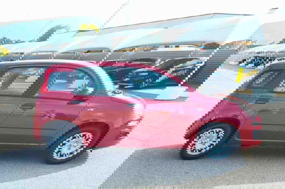 Fiat Panda nuova a Torino (4)