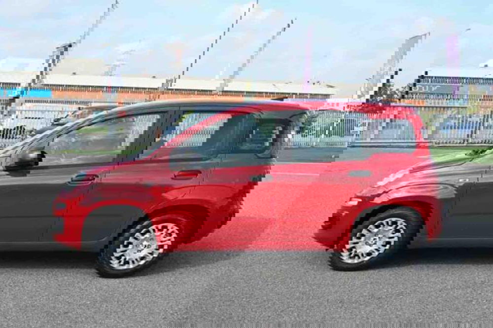 Fiat Panda nuova a Torino (8)