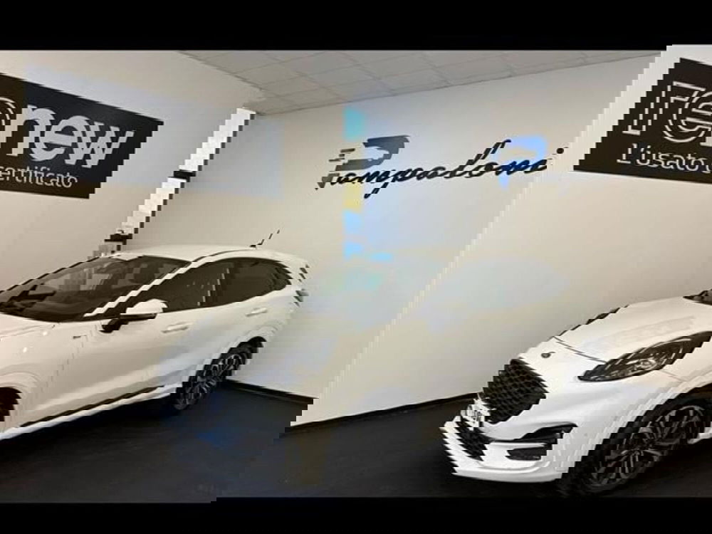 Ford Puma usata a Siena