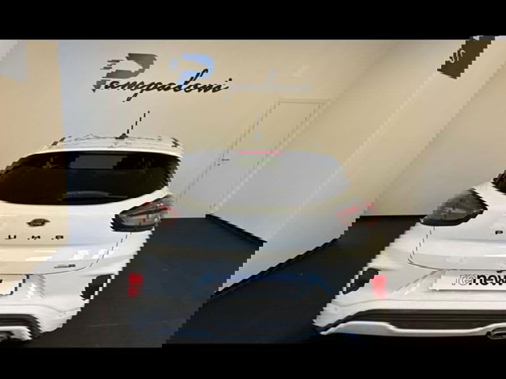 Ford Puma usata a Siena (17)