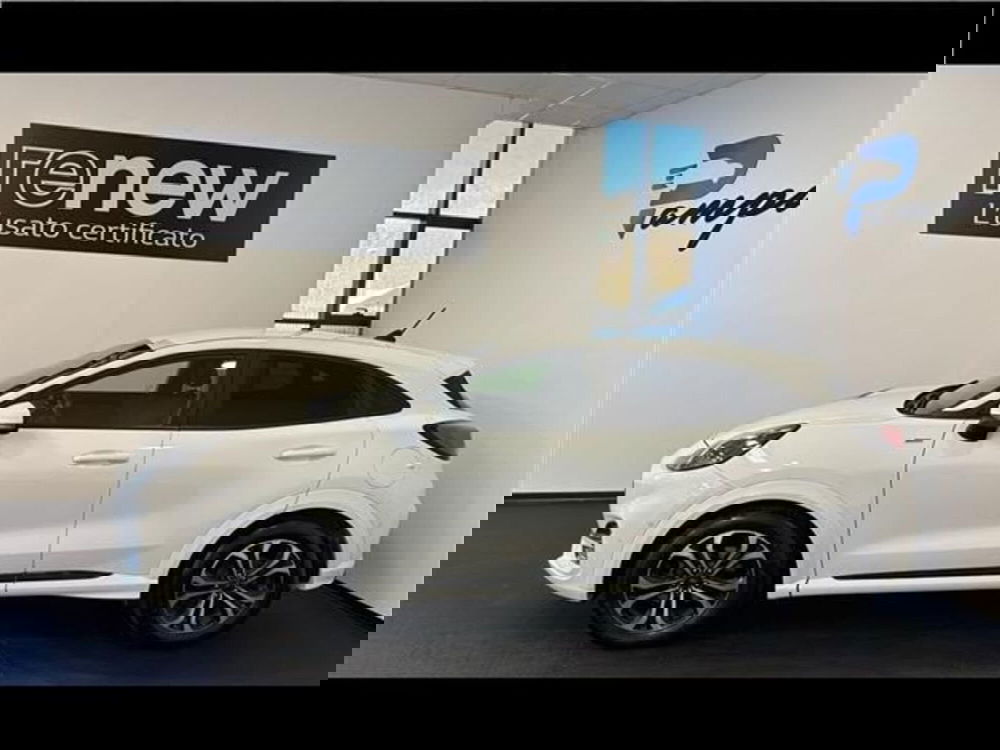 Ford Puma usata a Siena (2)