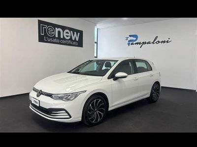 Volkswagen Golf 1.0 TSI EVO Life del 2023 usata a Siena