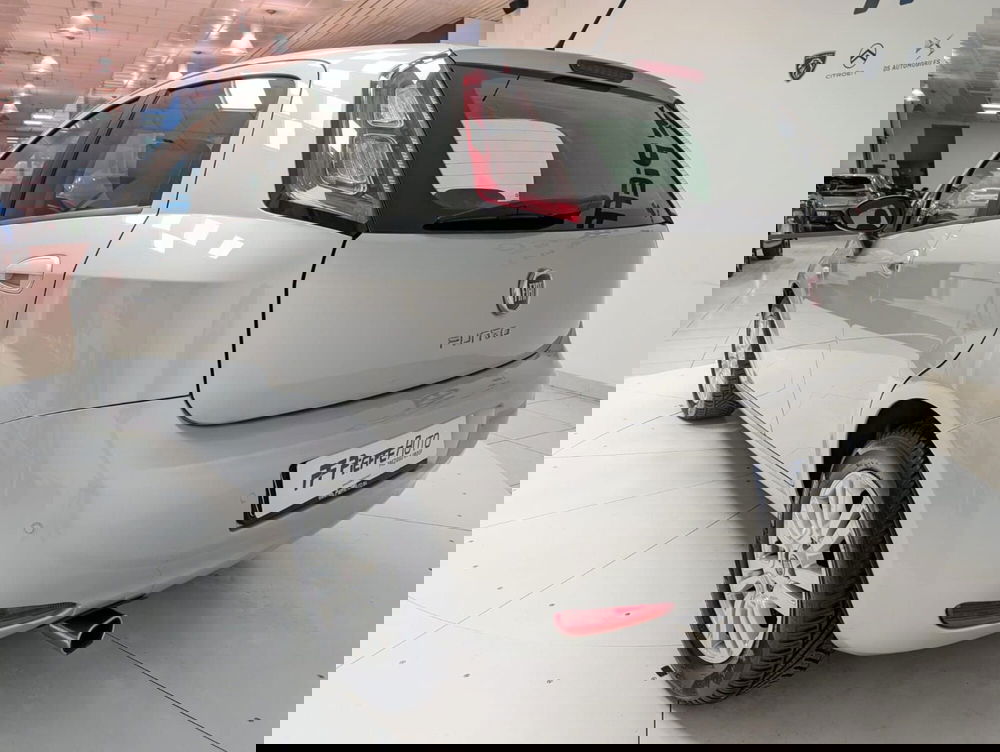 Fiat Punto usata a Teramo (9)