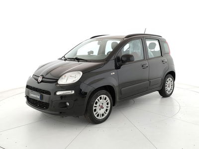 Fiat Panda 1.2 Lounge del 2020 usata a Teverola