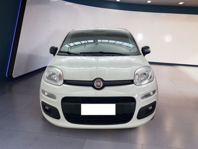 Fiat Panda van 1.0 hybrid Pop 70cv 2p.ti serie 4 E6d del 2021 usata a Torino