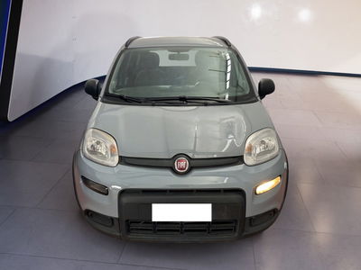 Fiat Panda 1.0 firefly hybrid s&amp;s 70cv 5p.ti del 2022 usata a Torino