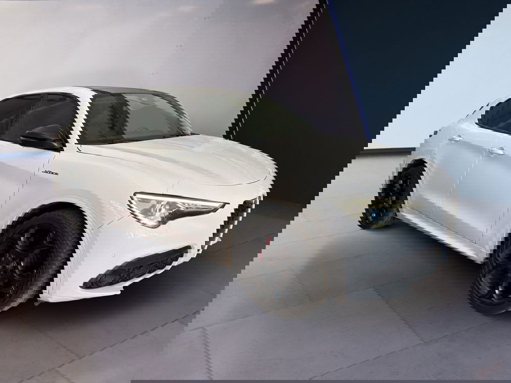 Alfa Romeo Stelvio usata a Torino (2)