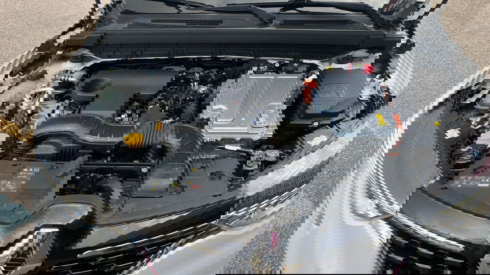 Renault Arkana usata a Viterbo (11)