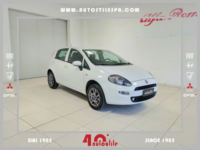 Fiat Punto 1.4 8V 5 porte Natural Power Young del 2015 usata a Scandiano