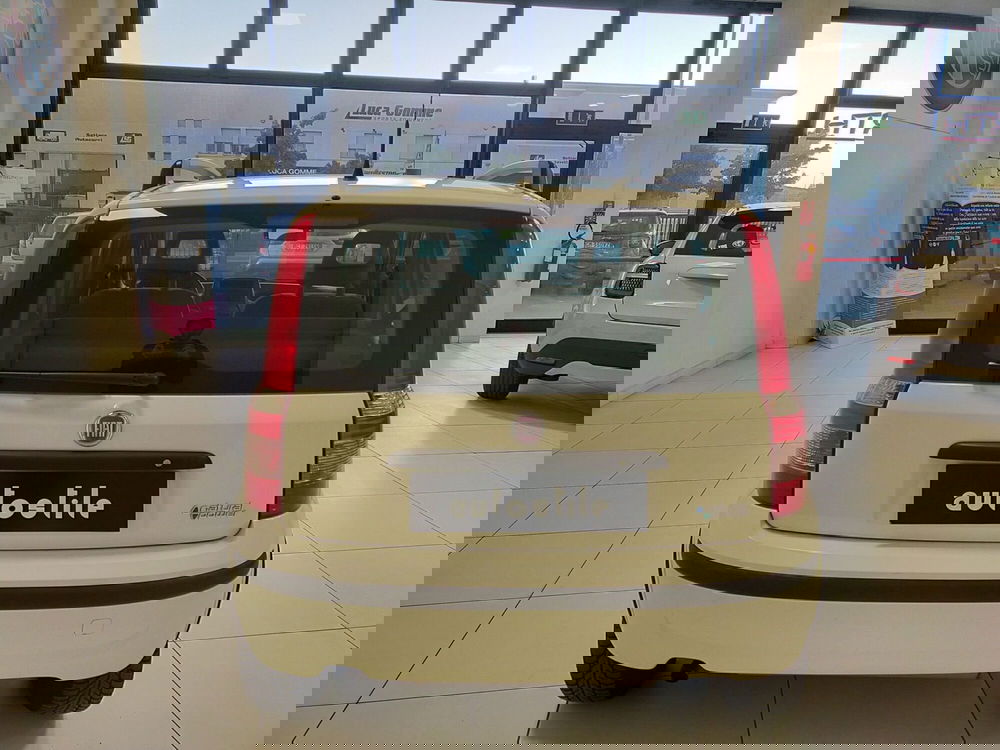 Fiat Panda usata a Reggio Emilia (5)