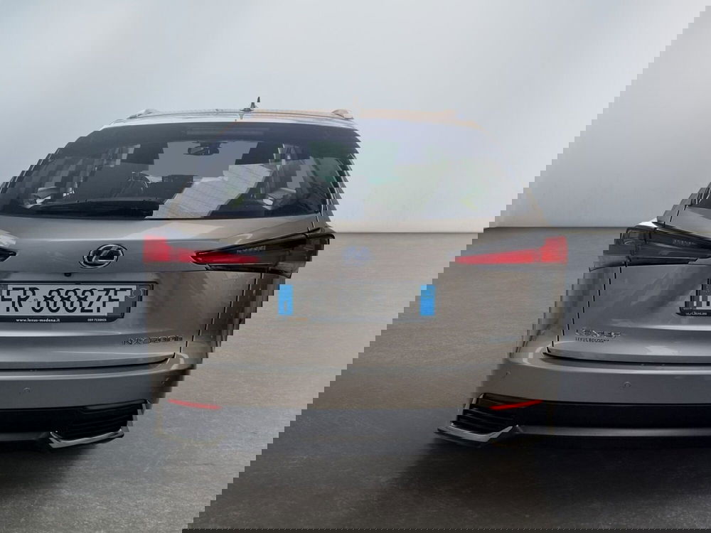 Lexus NX usata a Modena (5)