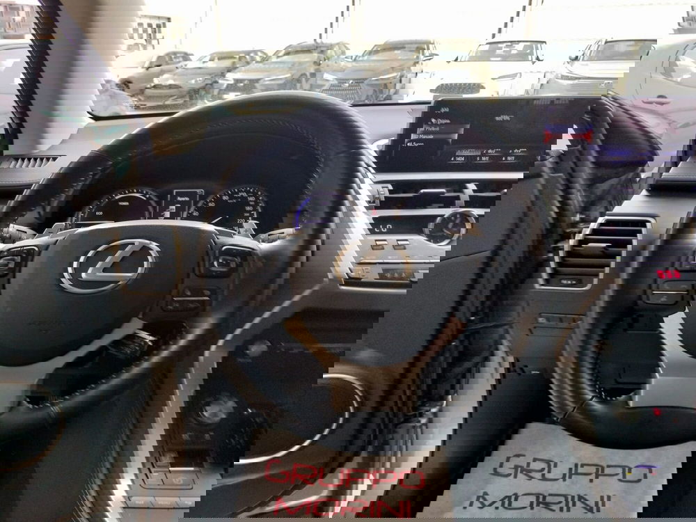 Lexus NX usata a Modena (8)