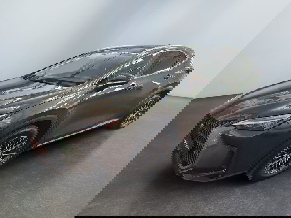 Lexus NX usata a Modena