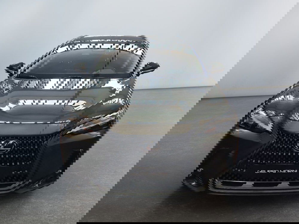 Lexus NX usata a Modena (2)