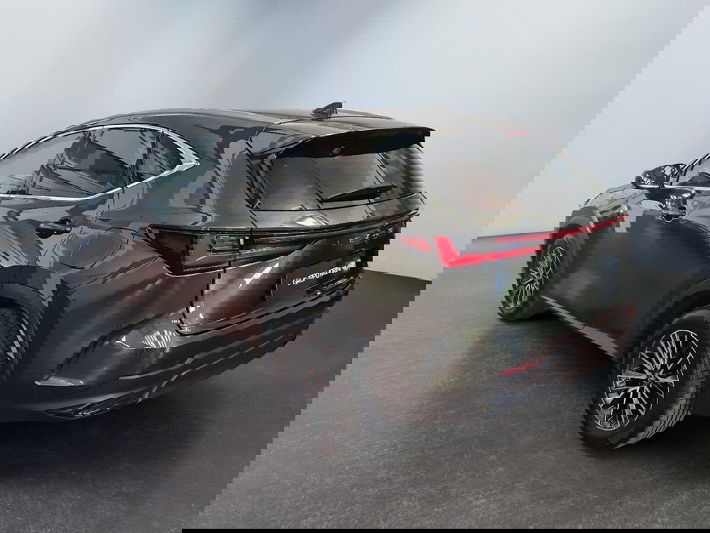 Lexus NX usata a Modena (4)