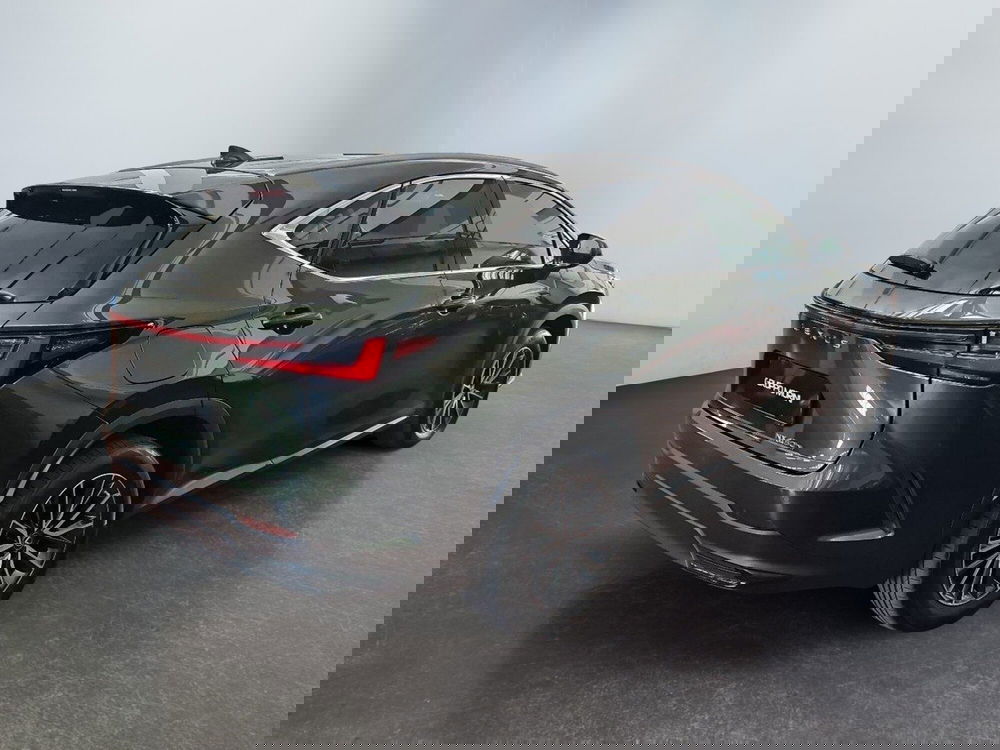 Lexus NX usata a Modena (6)