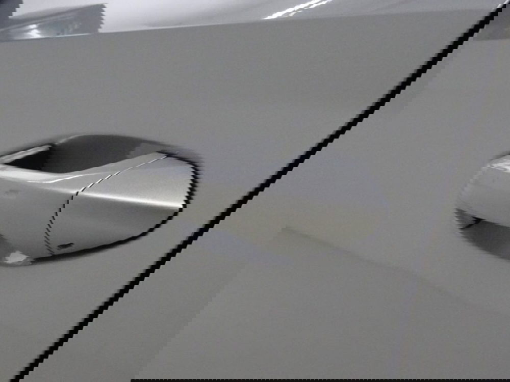 Skoda Octavia Station Wagon usata a Como (10)