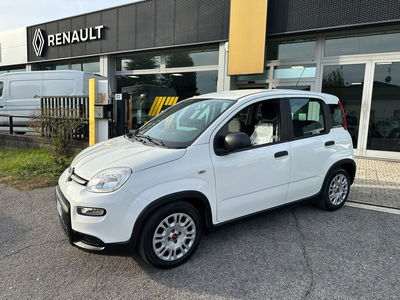 Fiat Panda Cross Cross 1.0 FireFly S&amp;S Hybrid del 2022 usata a Lissone