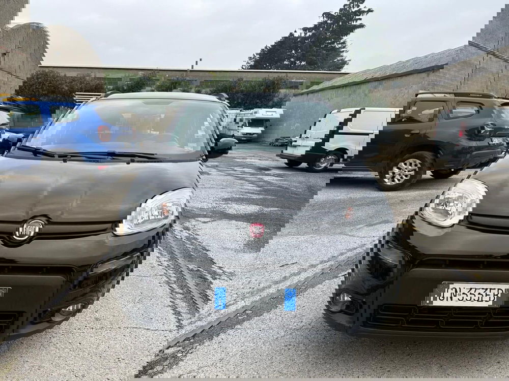 Fiat Panda usata a Monza e Brianza (3)