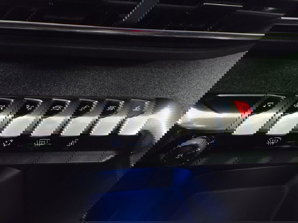 Peugeot 3008 usata a Torino (16)