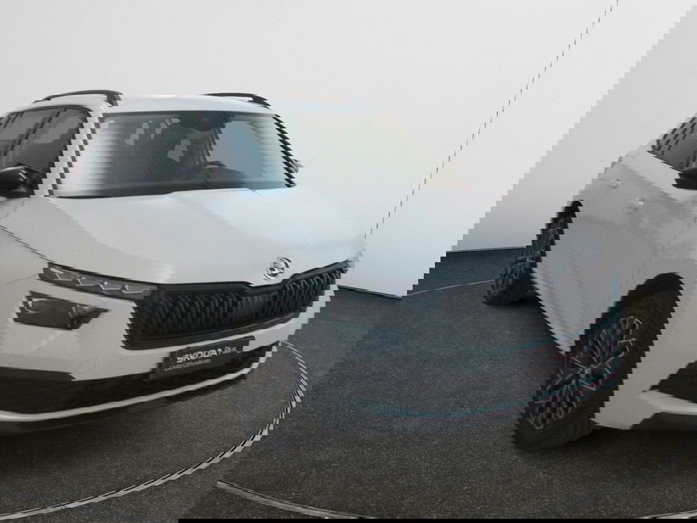 Skoda Kamiq usata a Torino