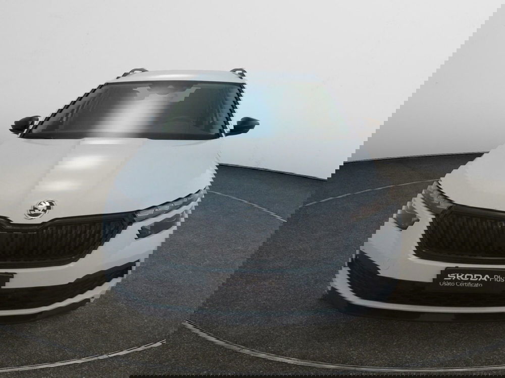 Skoda Kamiq usata a Torino (2)