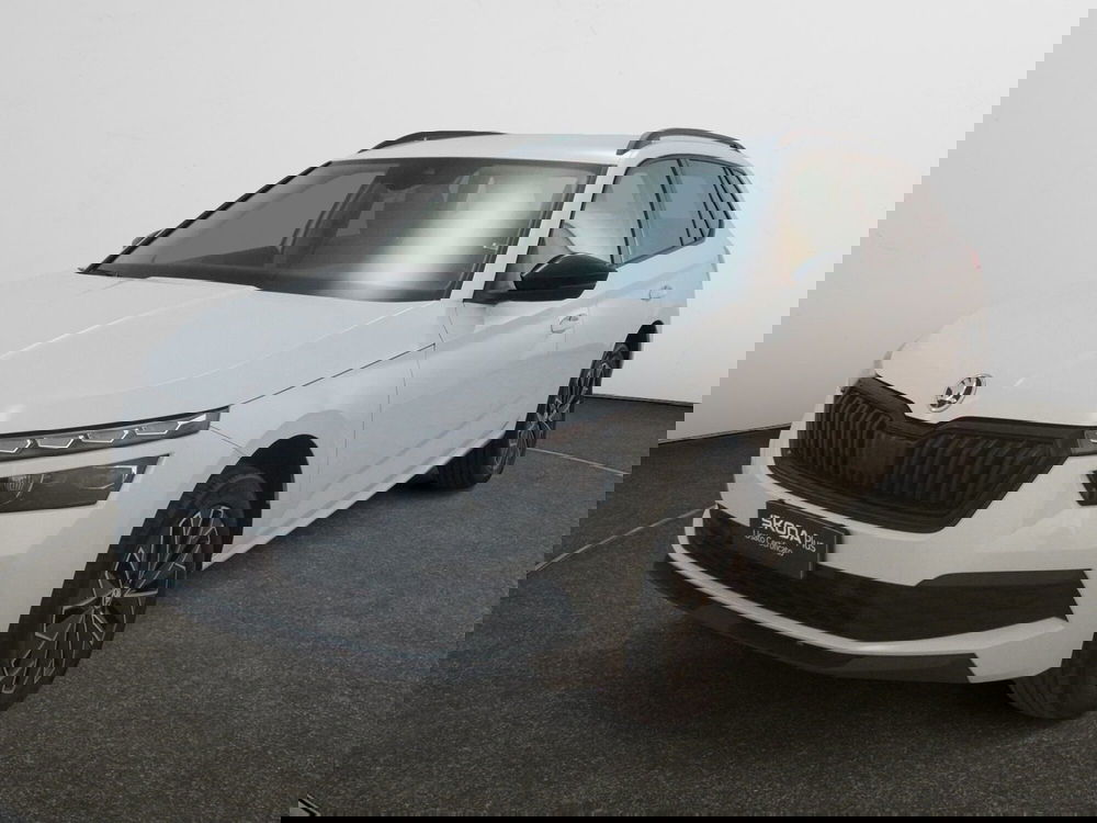 Skoda Kamiq usata a Torino (3)