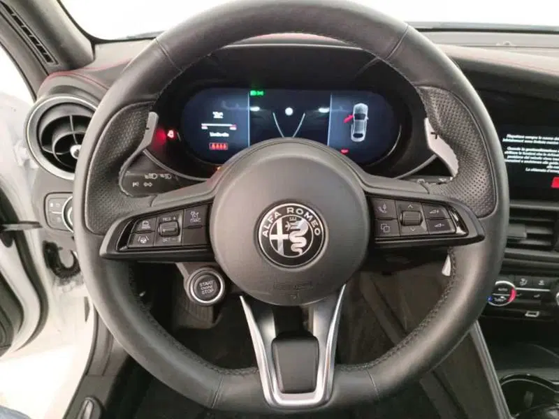 Alfa Romeo Giulia usata a Treviso (15)
