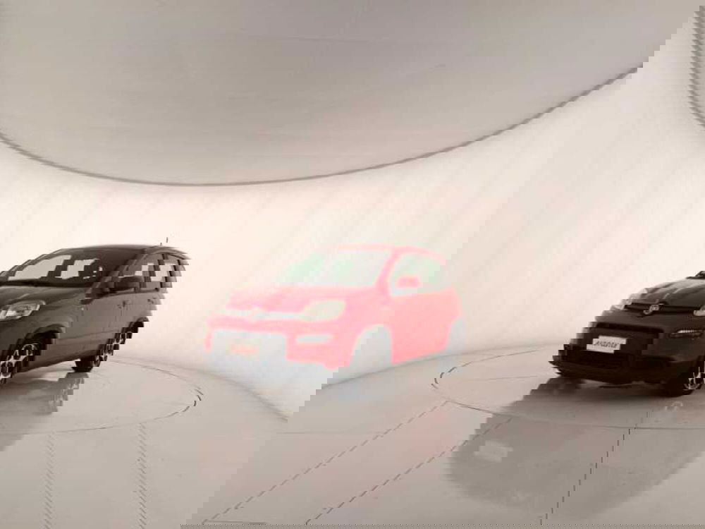 Fiat Panda usata a Treviso