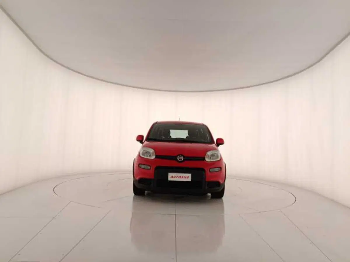 Fiat Panda usata a Treviso (2)