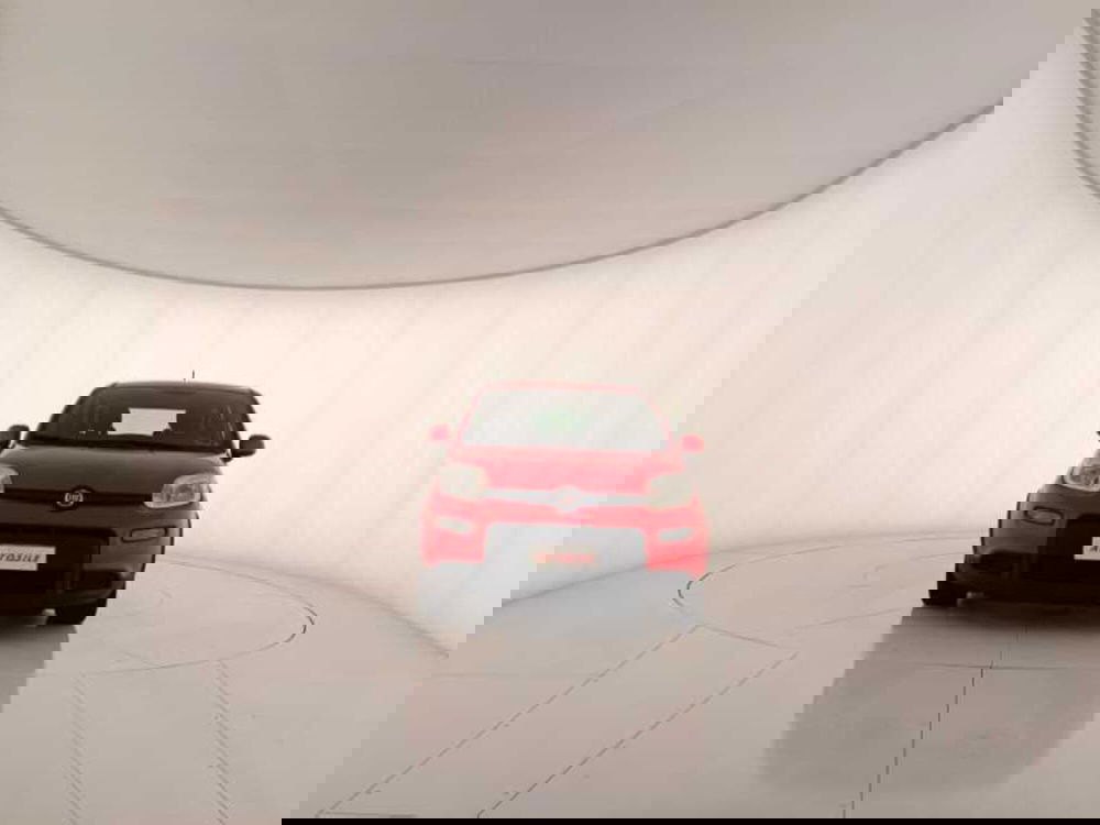 Fiat Panda usata a Treviso (2)