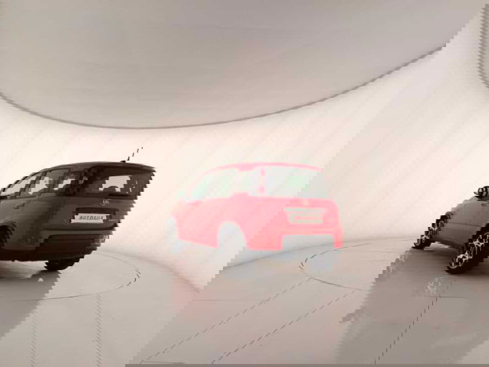 Fiat Panda usata a Treviso (4)