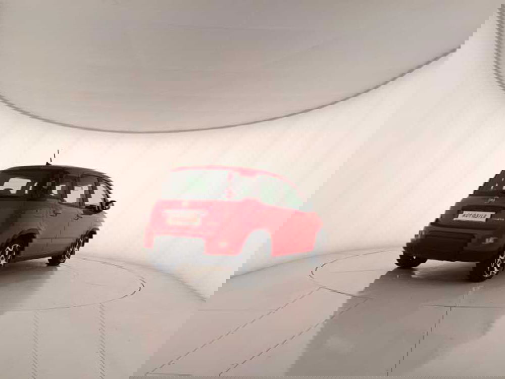 Fiat Panda usata a Treviso (6)