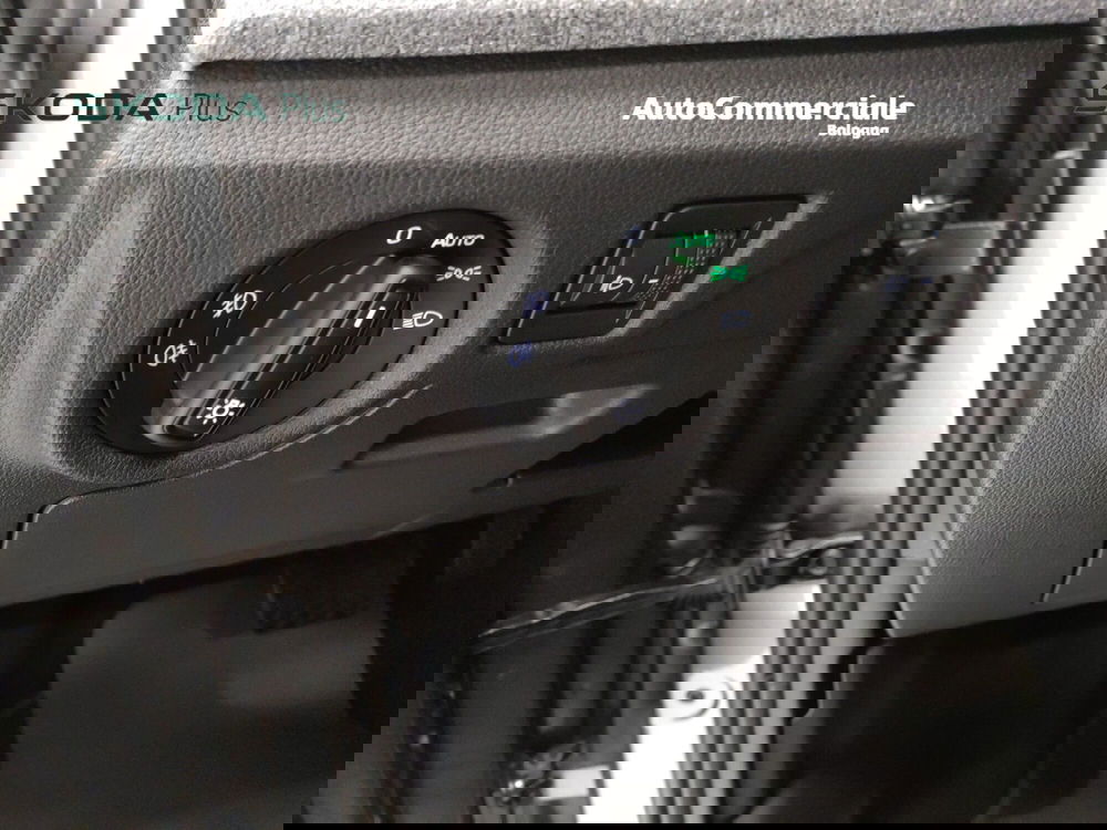 Skoda Kamiq usata a Bologna (10)