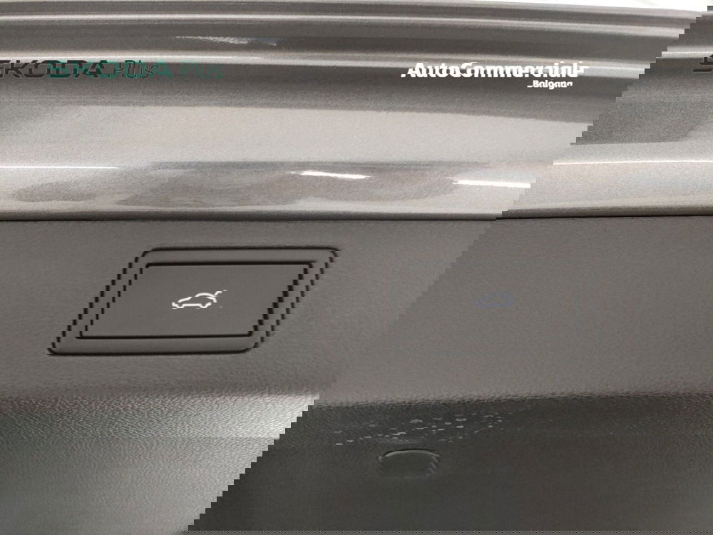 Skoda Kamiq usata a Bologna (19)