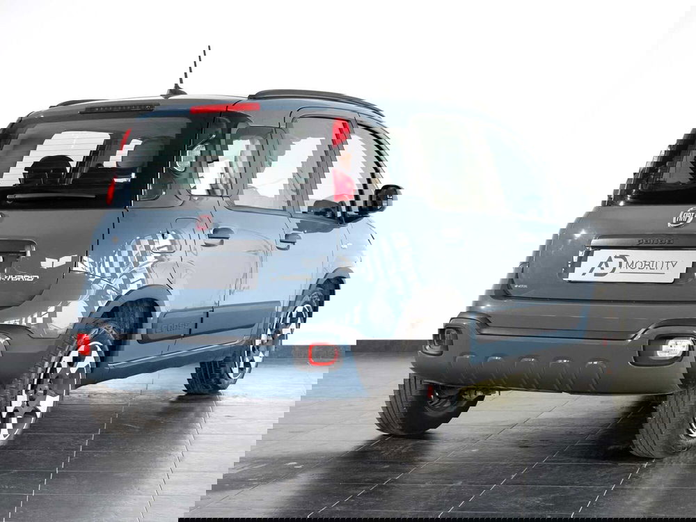 Fiat Panda Cross usata a Foggia (19)