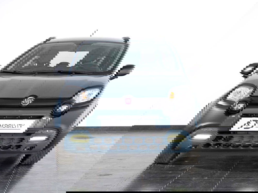 Fiat Panda Cross usata a Foggia (4)