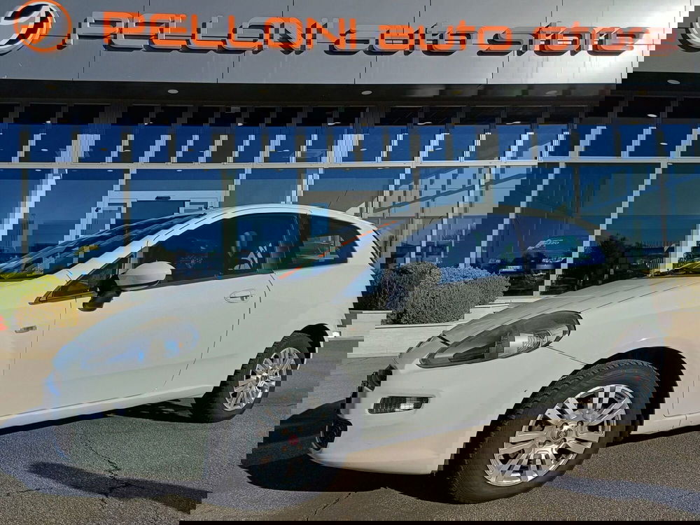 Fiat Punto usata a Modena