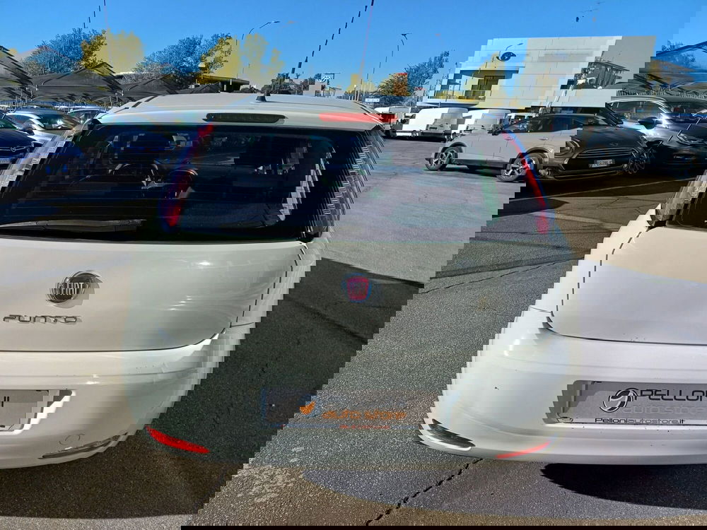 Fiat Punto usata a Modena (6)