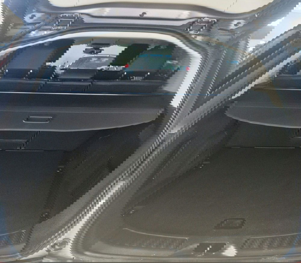 Land Rover Discovery Sport usata a Terni (10)