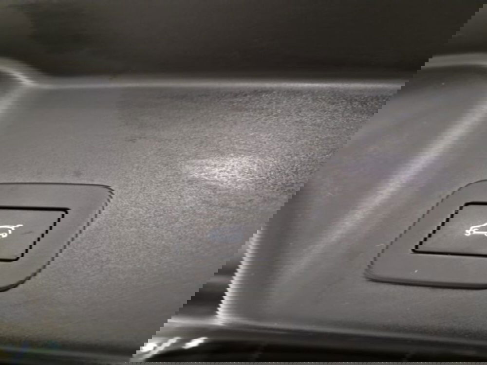 Land Rover Range Rover Evoque usata a Livorno (20)