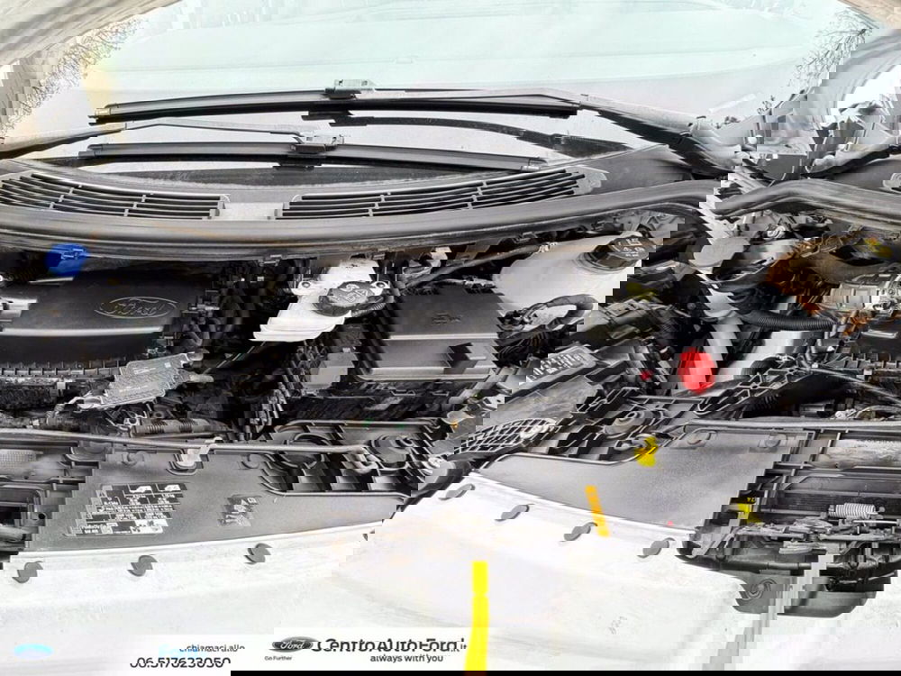 Ford Transit Custom Furgone usata a Roma (10)