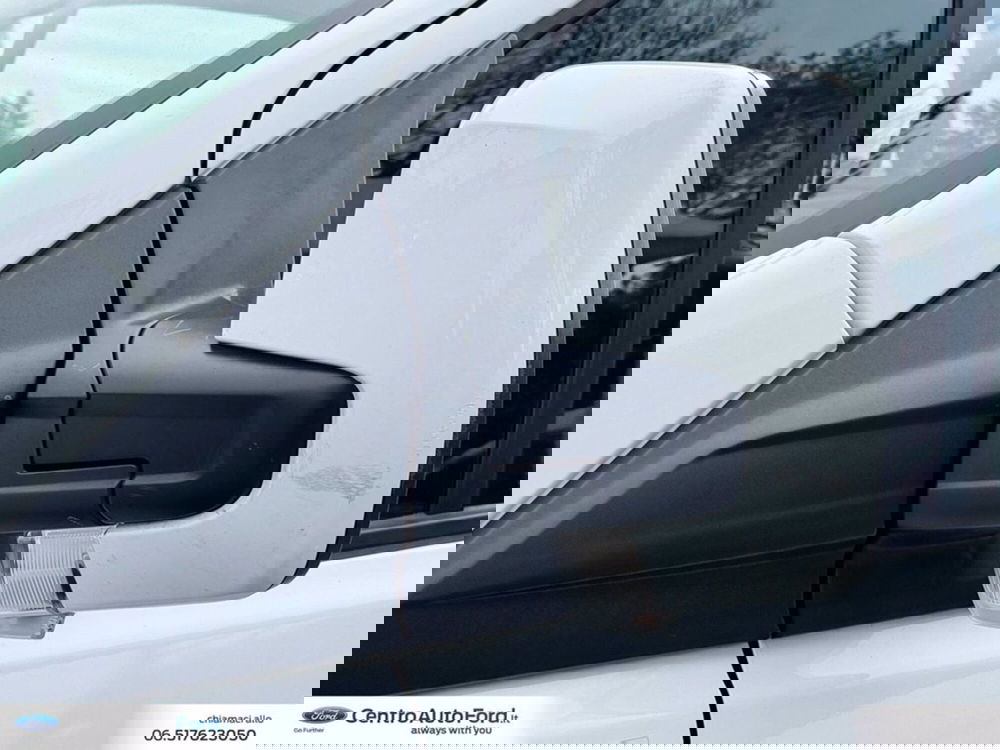 Ford Transit Custom Furgone usata a Roma (12)