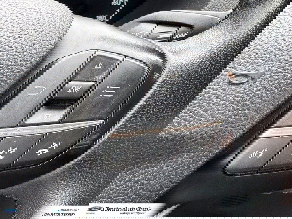 Ford Transit Custom Furgone usata a Roma (19)